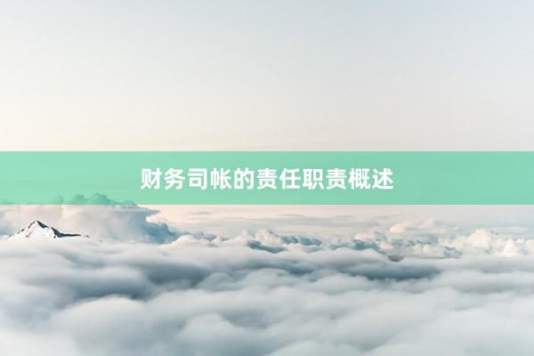 财务司帐的责任职责概述