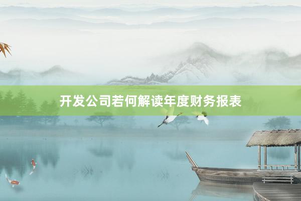 开发公司若何解读年度财务报表