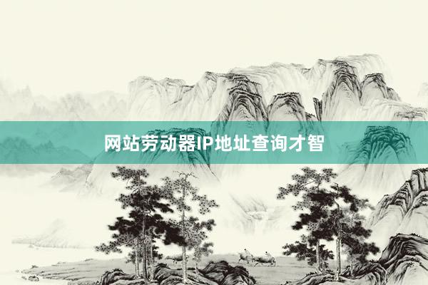 网站劳动器IP地址查询才智