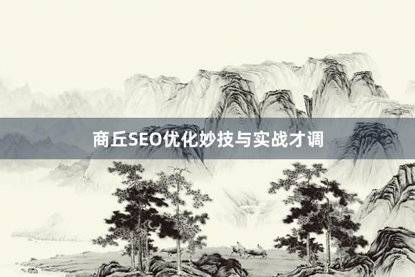 商丘SEO优化妙技与实战才调