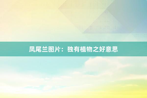 凤尾兰图片：独有植物之好意思
