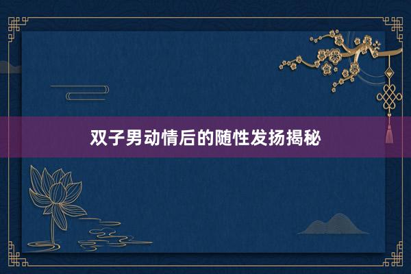 双子男动情后的随性发扬揭秘