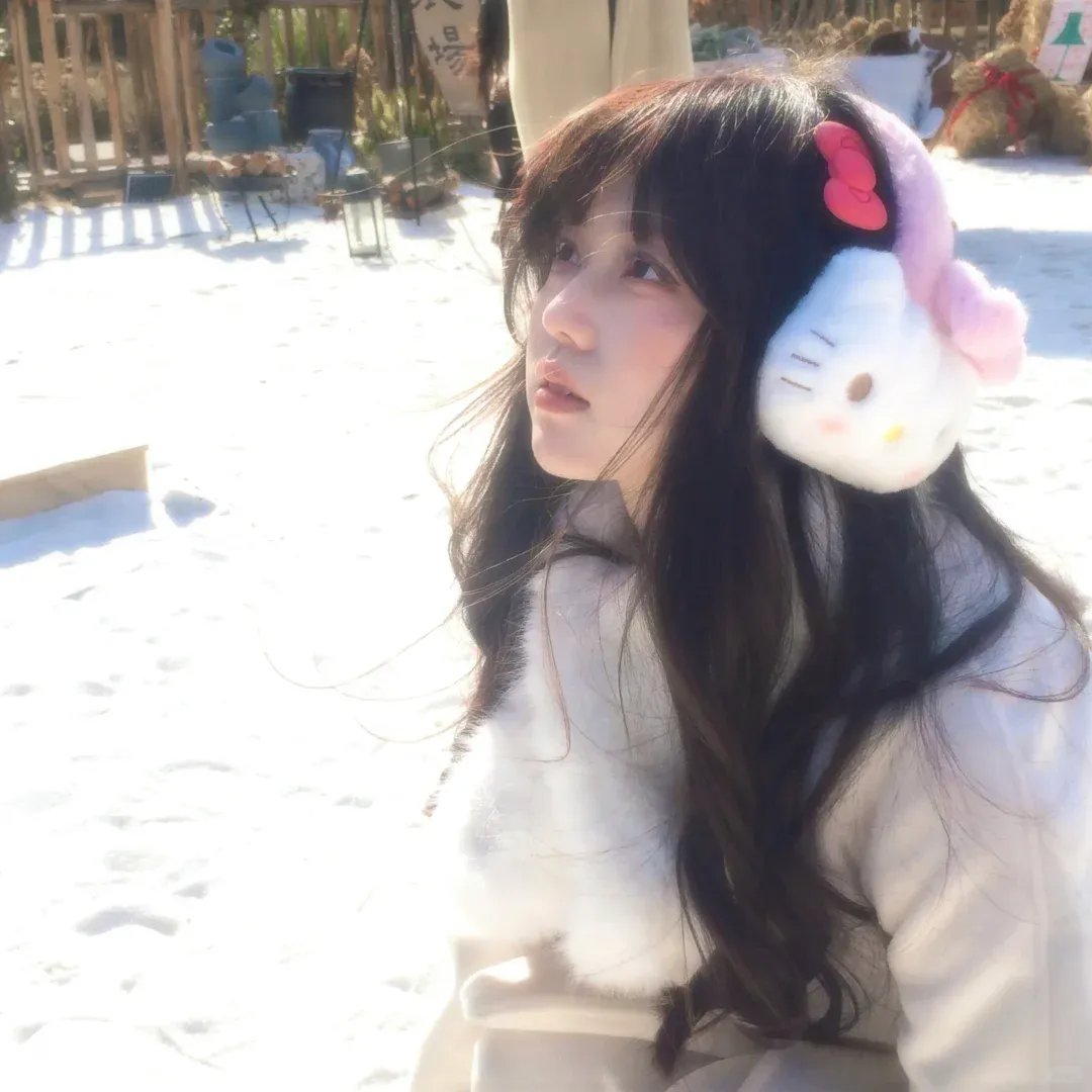 来自中国的熊猫